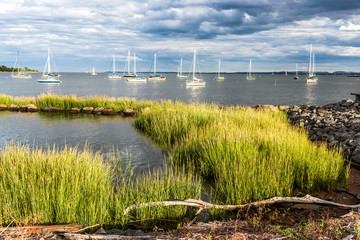 Sailboats in bay summer dramatic sky