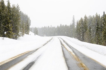 Obraz premium Forest road in the mountains durign a heavvy snowfall. A coming snowplough is visible in distance.