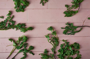 coriander herb dressings