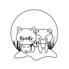 cute raccoon with fox baby animals kawaii