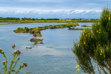 Landscape of Ile de Re island in France