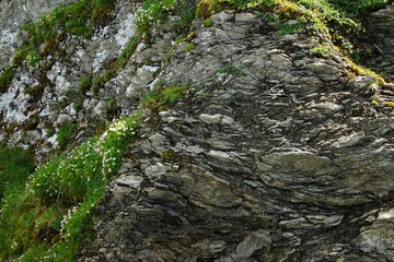 Felsen 