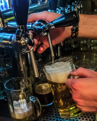 filling a glass with beer while counter in Bar or night club