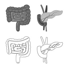 Isolated object of biology and scientific icon. Set of biology and laboratory stock symbol for web.