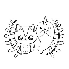 cute narwhal with cat animals baby kawaii