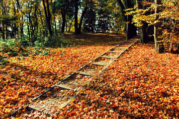 Goldener Herbst