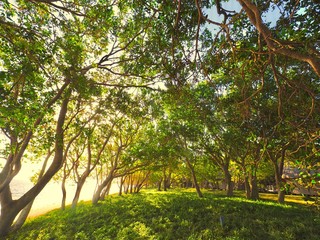 Fototapeta premium New Caledonia Photography