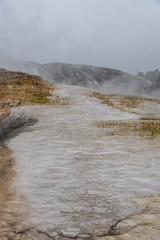 White Residue from Mammoth Hot Springs