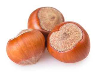 Hazelnut on white background