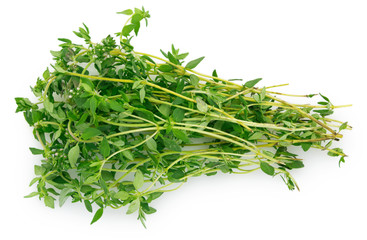Fresh thyme on white background