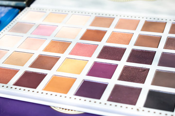 A closeup of a cosmetic color palette kit