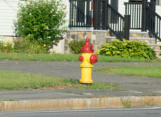 HYDRANT on a residential area painted in different bright colors