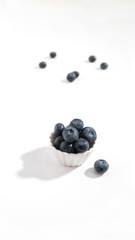 blueberries on white background
