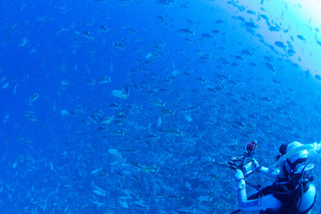 パラオ_ペリリュー_スキューバダイビング