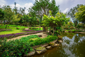 The natural background of the decoration of the park or the ornamental garden, the atmosphere is surrounded by many plants, for people to sit and relax while traveling.