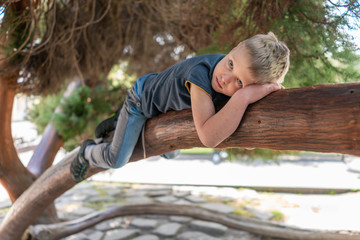 The boy lies on a thick branch of old tree like a cat