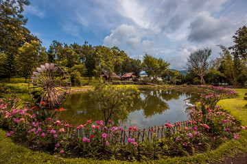 Landmark tourist attractions in Chiang Mai,Thailand(Royal Agricultural Station Inthanon),beautiful garden decoration, with a variety of flowers,for tourists to take picture according to the tourist