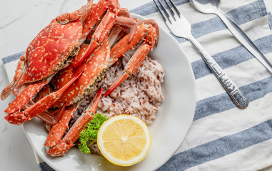 Cooked Steamed blue crab on white plate food concept background, top view