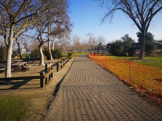 ARIMG4147_Trail in park, with Trees and Blue sky