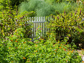 garden fence