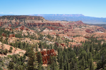Obraz premium Bryce Canyon Amphitheatre