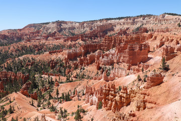 Hoodoo Landscape in Bryce