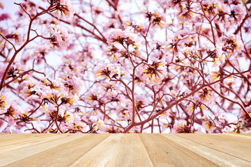 Naklejka na ściany i meble Empty top wooden table on closeup pattren of beautiful flowers blooming in garden