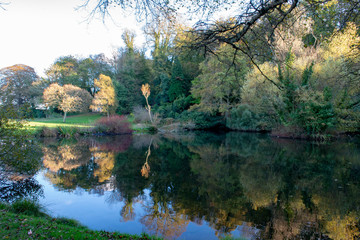 Autumn coloured trees reflected in a small lake.