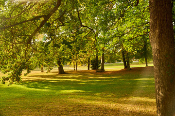 Obraz premium Magnifique paysage automnal, et sas couleurs ocres, vert, jaune