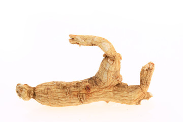Ginseng on a white background