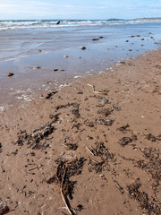 Worms Head South Wales Gower peninsula outside coastal scene