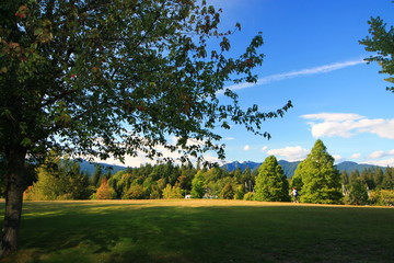 vancouver, canada, Stanley park,