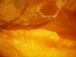 Juicy and fleshy mango fruit