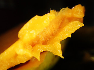 Fototapeta na wymiar Juicy and fleshy mango fruit