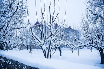 Snow covered trees in the winter forest with road. Winter Road, just after the snow fall. Beautiful winter landscape - Image