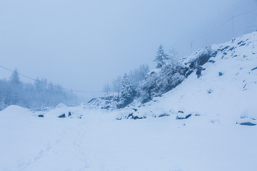 Beautiful winter landscape with forest ad trees covered with white snow, snowfall in Himalayan mountains, bad weather - Image