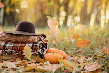 Stack of folded warm clothes, scarf, hat and pumpkins in the autumn leaves.
