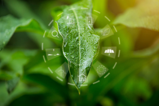 https://contributor.stock.adobe.com/th/portfolio/videos