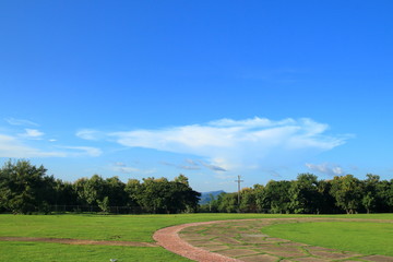 Naklejka premium green field and blue sky