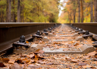 Railway in the forest in autumn, close up, selected focus