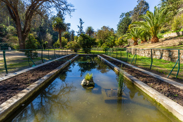 Fototapeta na wymiar Botanical gardens of Viña del Mar, Chile