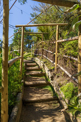 Wooden structure in the Botanical Garden