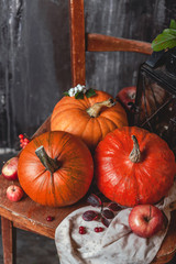Assorted pumpkins on wooden chair with apples and fall leaves on a shabby gray background