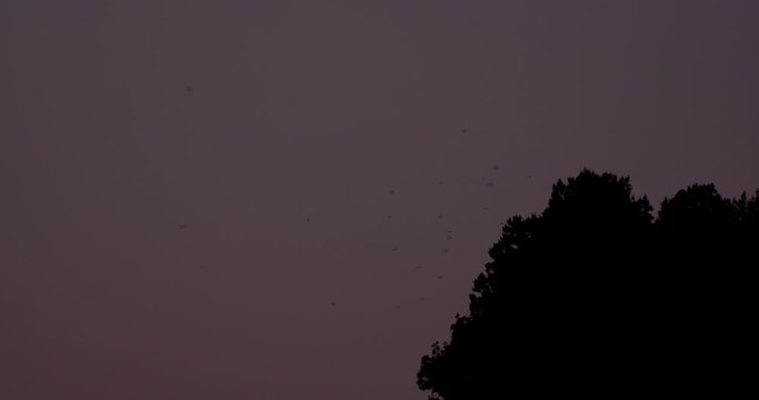 Sunset in Telascica Nature Park, Adriatic Sea, Croatia 18