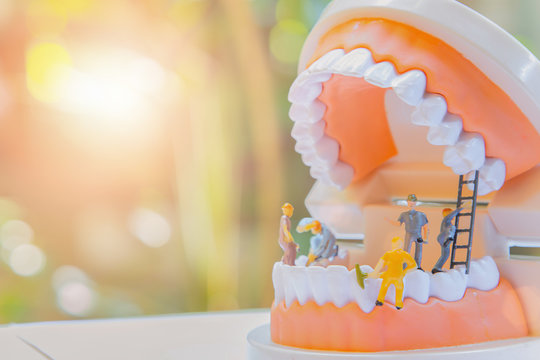 Miniature worker people or small figure cleaning white tooth model as medical and healthcare concept. Cleaning team work on teeth model for dental or dentist idea. Design care health with copy space.