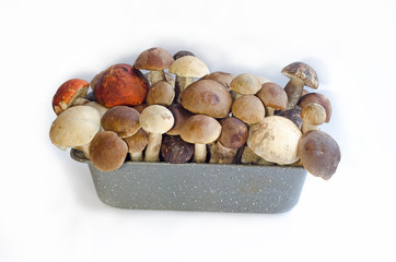 basket or plate with boletus mushrooms, isolated. mushroom composition. harvesting autumn forest harvest. delicious dinner. vegetarian food.