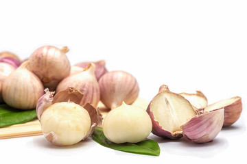 group of Single Bulb form of Elephant Garlics on white background