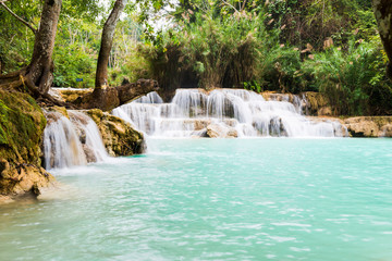 Fototapeta na wymiar Tad Kuang Si, A great waterfall in Laung Prabang ,Laos