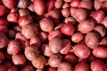 Baby red potatoes on display in an outdoor farmers market in North America.