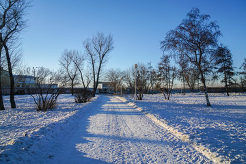 walkway in the leafless forest covered with white snow in winter